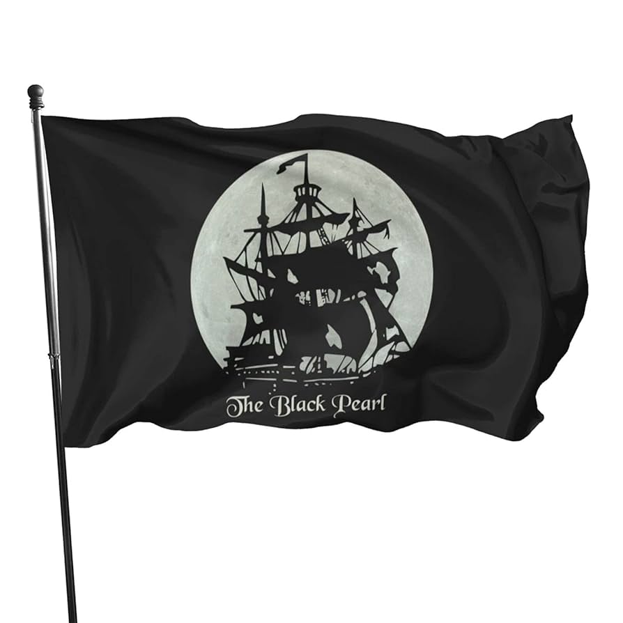 アート・デザイン・音楽 LARGER THAN LIFE Black Flag Memorabilla 3d Band Wall Flag Black